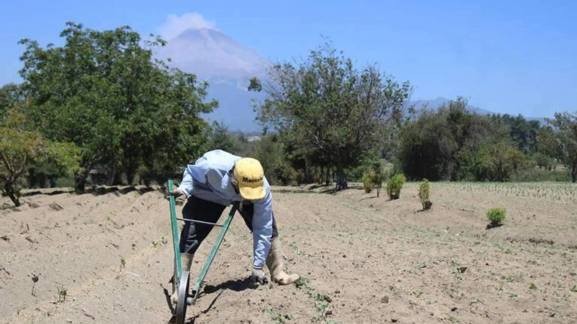 La onda de calor en huertas genera “estrés” a la tierra por falta de agua, lo que puede derivar de la pérdida de los cultivos_